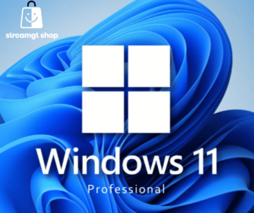 Windows 11 PRO