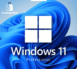Windows 11 PRO